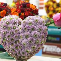 цветочное :: Олег Лукьянов