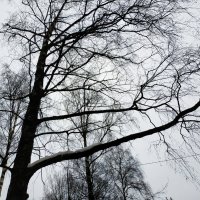 * * * :: Андрей Лукьянов