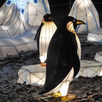 скоро Новый год :: ИННА ПОРОХОВА