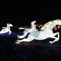 скоро Новый год :: ИННА ПОРОХОВА скоро Новый год :: ИННА ПОРОХОВА