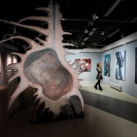 Эрарта. Выставка фотографа Анастасии Воробьевой "Симбиоз" :: Магомед .