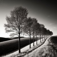 Тонкие деревя на пологих холмах :: Георгий Пичугин