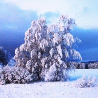 Такой вот февраль :: Людмила Смородинская