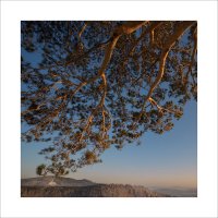 * :: Александр Иванов