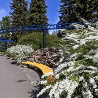 В городе весна :: Евгений