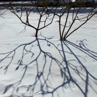 *** :: Валентина Береснева