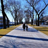 Ростов-на-Дону. Аллея Доской набережной им. Ушакова в феврале. :: Пётр Чернега