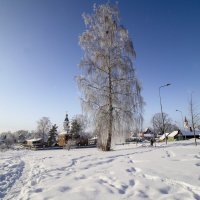 б/н :: Николай 