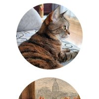 Похожи! :: Люба 