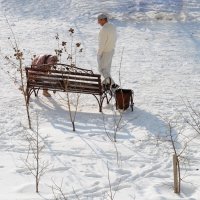 Следы на снегу :: Анатолий Чикчирный