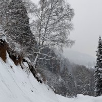 Путь :: Радмир Арсеньев