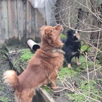 Дружная команда :) :: Наталья 