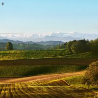 autumn :: Elena Wymann autumn :: Elena Wymann