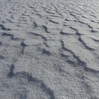 Искорки на снегу :: Ольга Савельева 