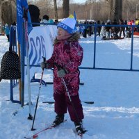 Лыжня 2026 :: Венера Чуйкова Лыжня 2026 :: Венера Чуйкова