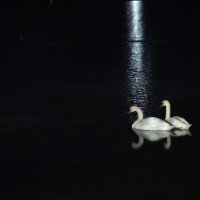 Ночное :: Валерий Ткаченко Ночное :: Валерий Ткаченко