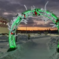 Зимнее утро :: Ольга 