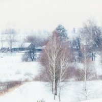 Зимнее Крыжино :: Sergei Vikulov