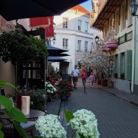 Летним вечером .. :: Татьян@ Ивановна