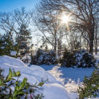 Зимний вечер :: Оксана Новик 