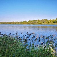 Ока :: Валерий Судачок Ока :: Валерий Судачок