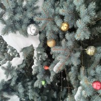 *** :: Татьяна Осипова(Deni2048)