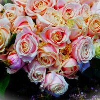 Февральские розы :: Aida10 Февральские розы :: Aida10