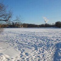 Петергоф. Ольгин пруд :: Наталья Герасимова