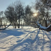 Петергоф. Ольгин пруд :: Наталья Герасимова Петергоф. Ольгин пруд :: Наталья Герасимова