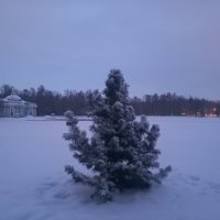 Зима :: Сапсан 