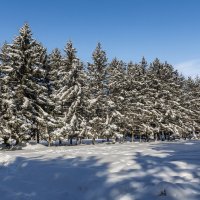 *** :: Виктор Иванович Чернюк