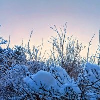 Морозный закат :: Veera V