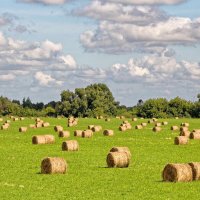 Валки :: Валерий Судачок Валки :: Валерий Судачок