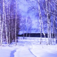 Красота :: Людмила Смородинская Красота :: Людмила Смородинская