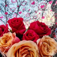 Розы :: Наталья (ShadeNataly) Мельник