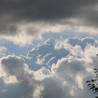 небо Екатеринбурга :: Елена Шаламова