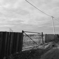 Фотография :: Денис Безногов