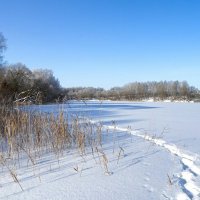 Моя Смоленщина. :: Милешкин Владимир Алексеевич 