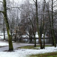 Картинки февраля :: Юрий. Шмаков Картинки февраля :: Юрий. Шмаков