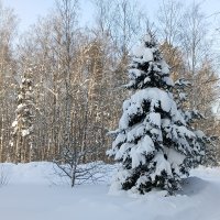 зимний пейзаж :: Владимир 