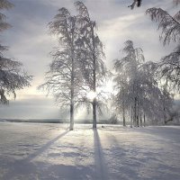 Белогорье :: Лариса С.