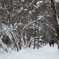 В парке :: Freddy 97