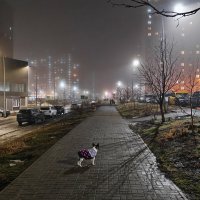 Ростовские зарисовки :: Александр Гапоненко Ростовские зарисовки :: Александр Гапоненко