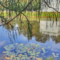 Отражение :: Irene Irene