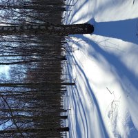 Так тоже можно провожать зиму :: Андрей Лукьянов