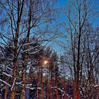 И в мегаполисе есть где прогуляться.... :: Vladimir Semenchukov