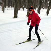 На лыжне февраля... :: Андрей Заломленков