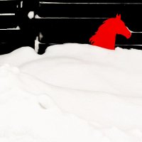 Купание красного коня :: Maria Rainer