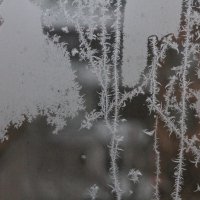 Зима рисует :: олег свирский 