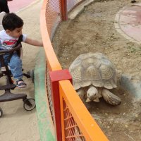 Давай знакомиться... :: Галина Ильясова